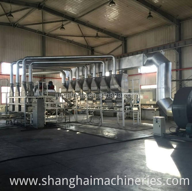 Walnut Kernel Oil Processing Machine Oil Press Machine